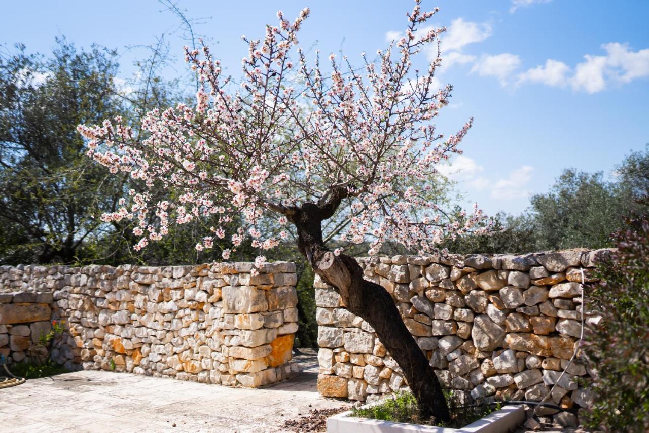 Masseria Montepaolo Dimora Di Charme Conversano Exteriér fotografie