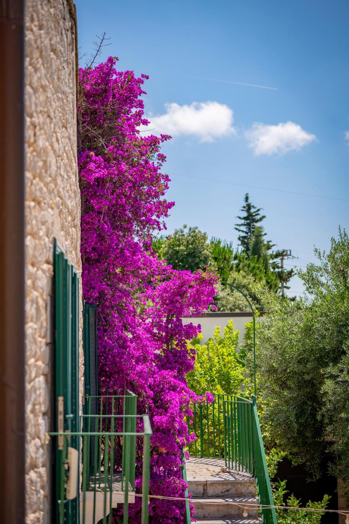 Masseria Montepaolo Dimora Di Charme Conversano Exteriér fotografie